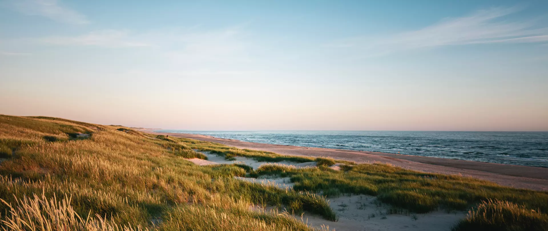 Grüne Dünenlandschaft mit Sandstrand im Sonnenuntergang in Dänemark