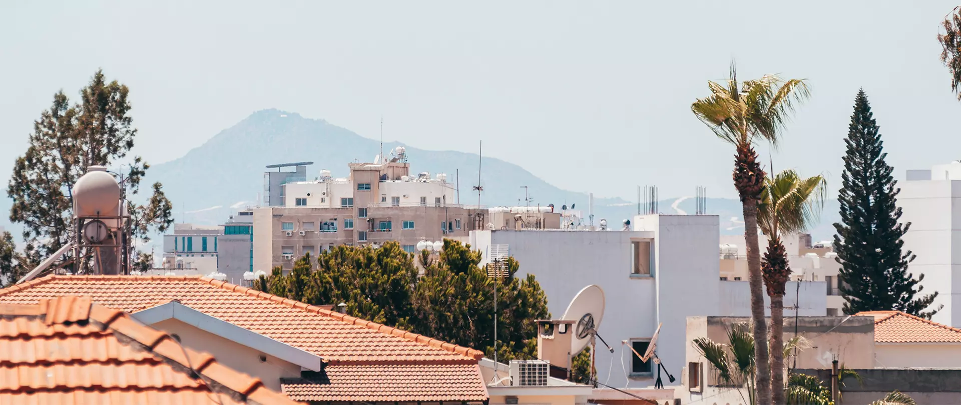 Stadtbild auf Zypern mit mediterranen Gebäuden, roten Dachziegeln, Palmen und Bergen im Hintergrund bei klarem Himmel