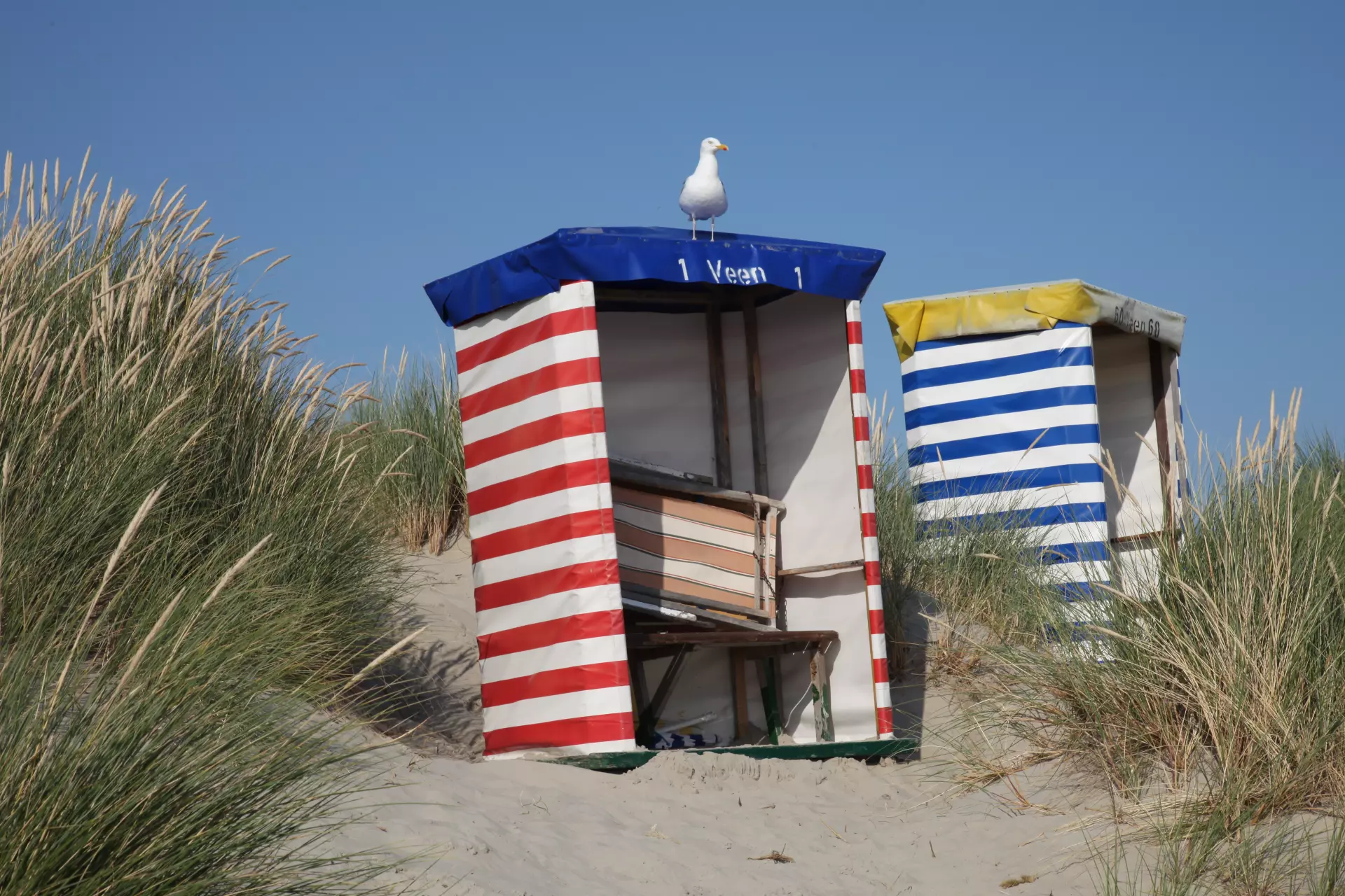 Strandkorb mit Möwe auf Borkum von Andreas Behr Strandkörbe mit roten und blauen Streifen in den Dünen von Borkum, mit einer Möwe auf dem vorderen Korb unter blauem Himmel