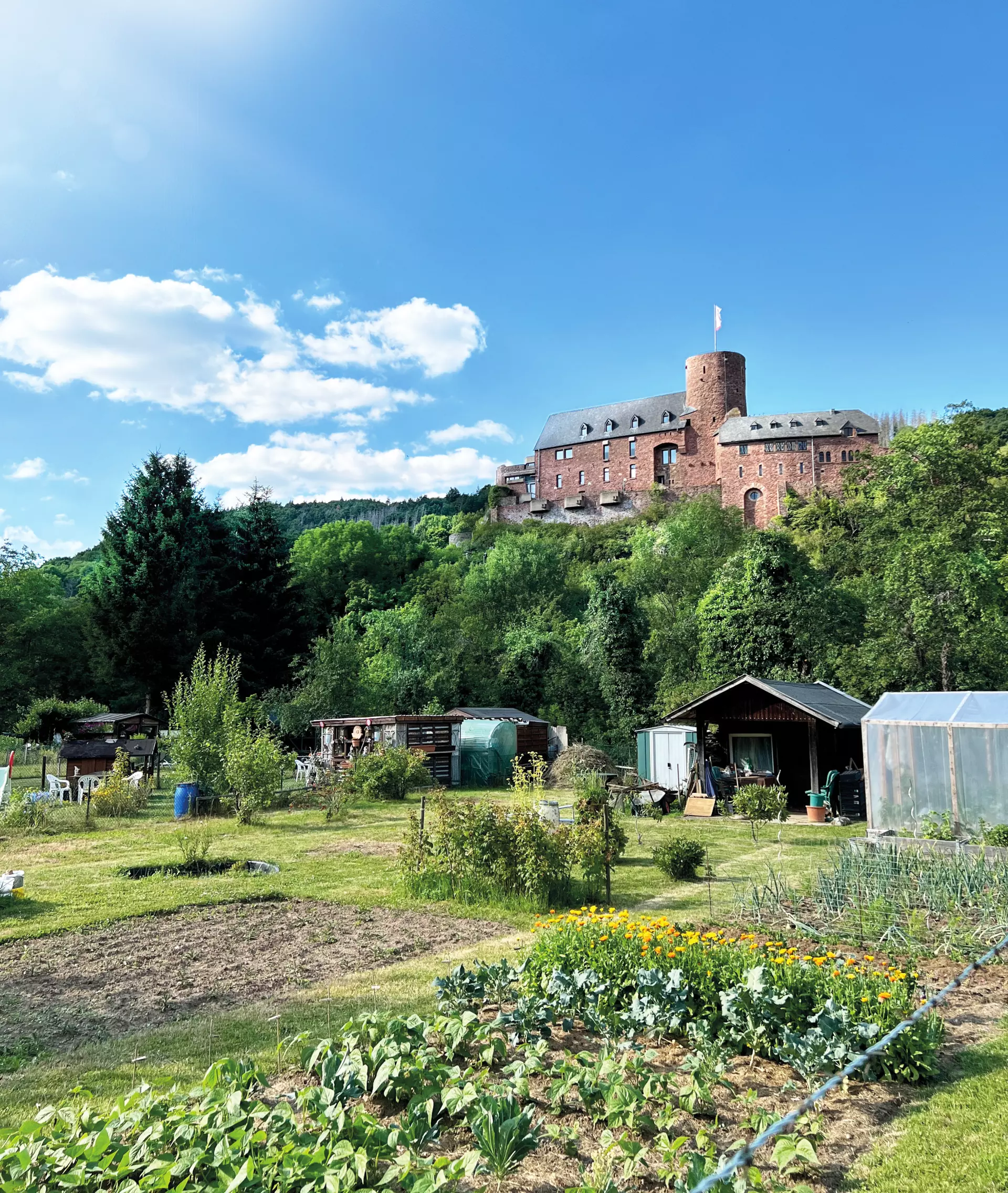 Burg Heinbach Burg auf einem bewaldeten Hügel mit Gartenparzellen, Schrebergärten und Gewächshaus in der ländlichen Eifel bei klarem Himmel