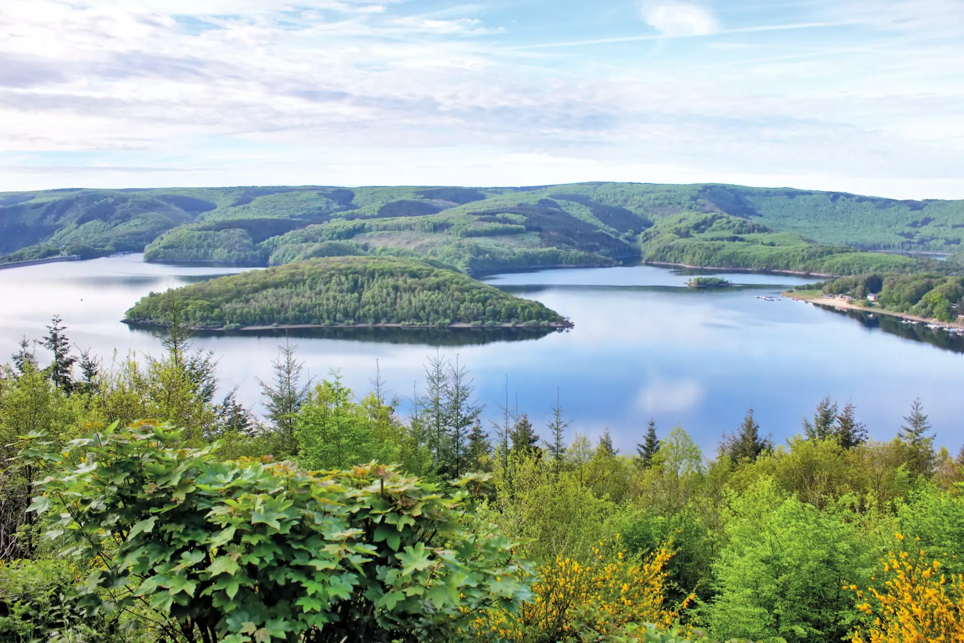 Eifelsee Blick auf einen bewaldeten Stausee in der Eifel mit grünen Hügeln und klarem Himmel