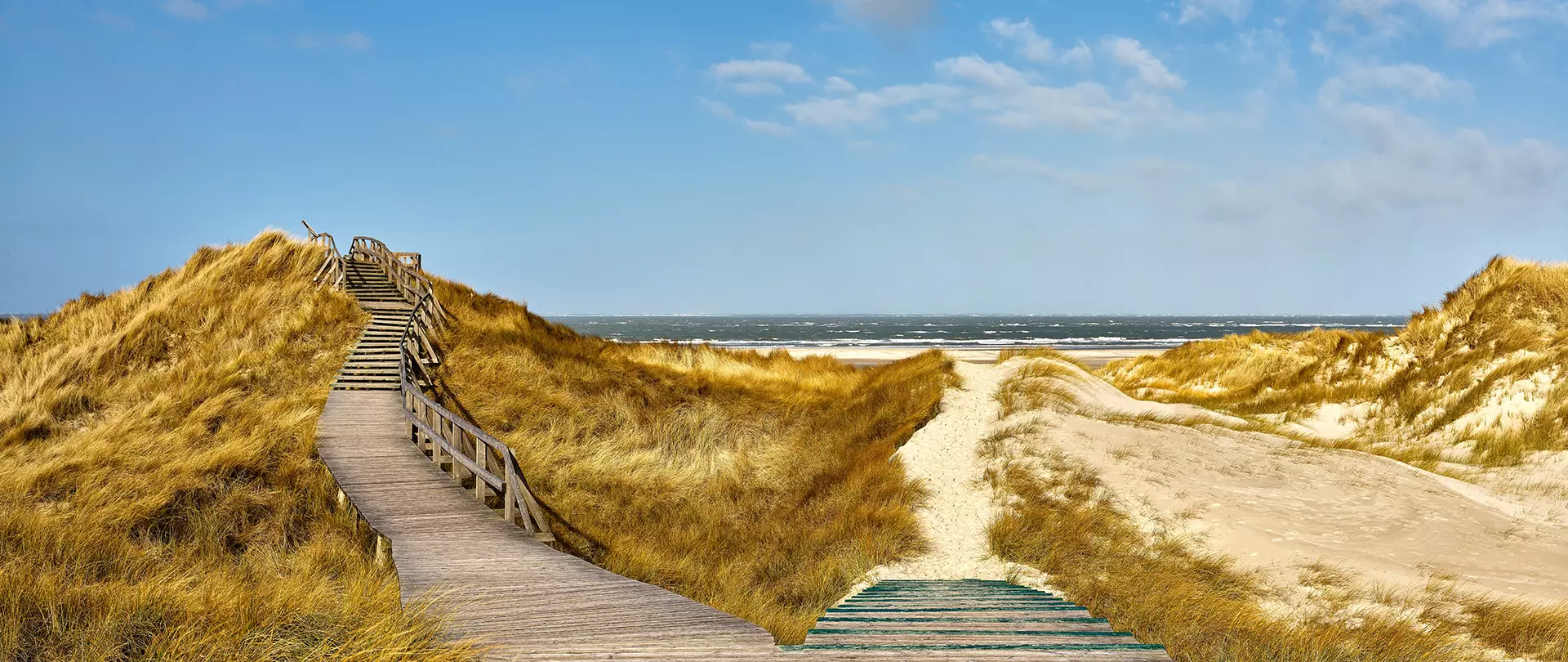 Holzsteg führt durch Dünen mit gelbem Gras zum Strand und Meer bei blauem Himmel auf Amrum