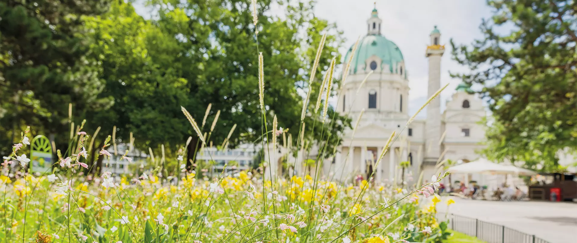 Blumenwiese im Vordergrund mit unscharfer Karlskirche und Bäumen im Hintergrund in Wien, Österreich