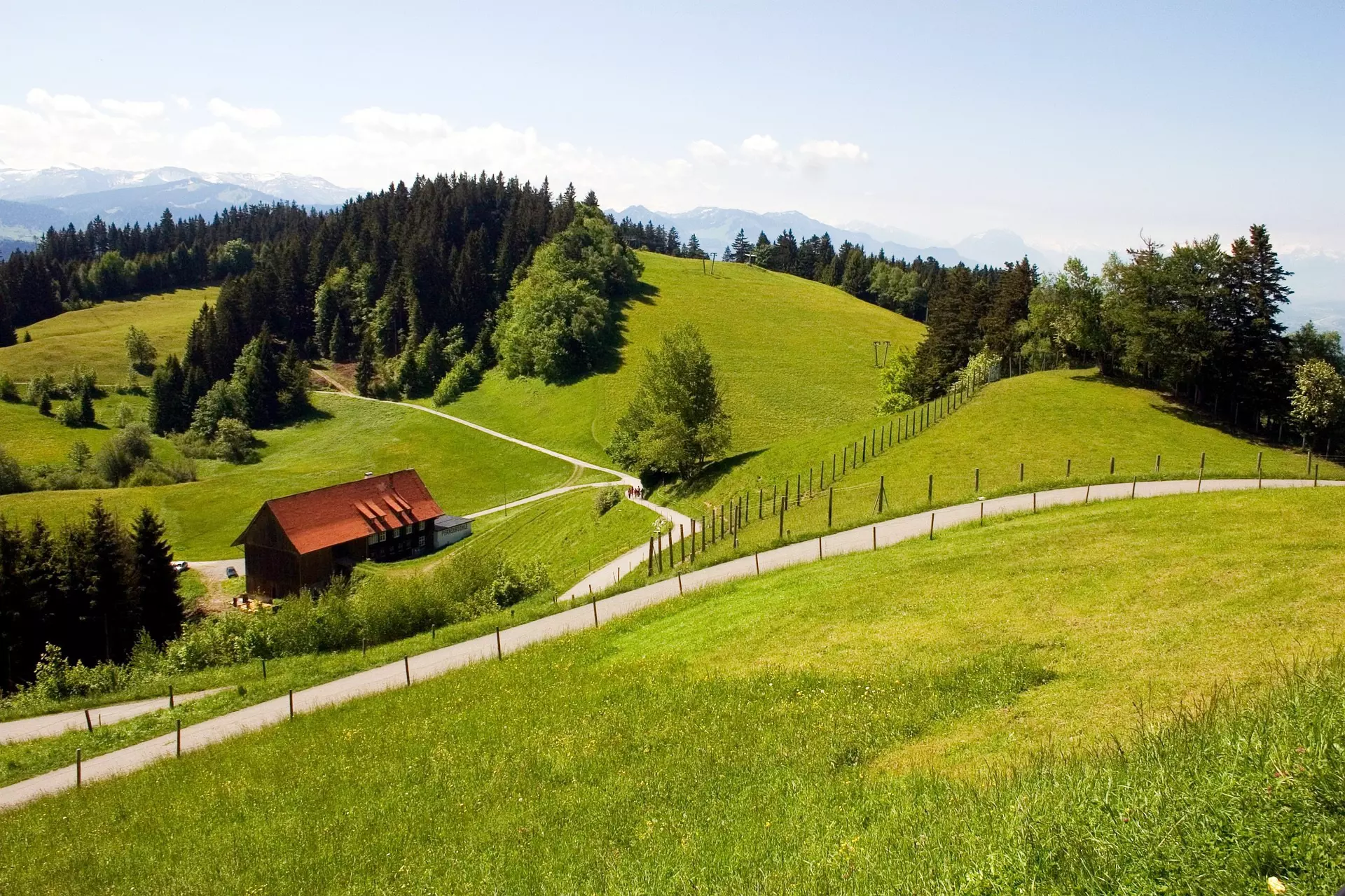 Hügellandschaft in Bregenz Grüne Hügel mit Wald, Wanderwegen und einem roten Bauernhaus vor Alpenpanorama bei Bregenz