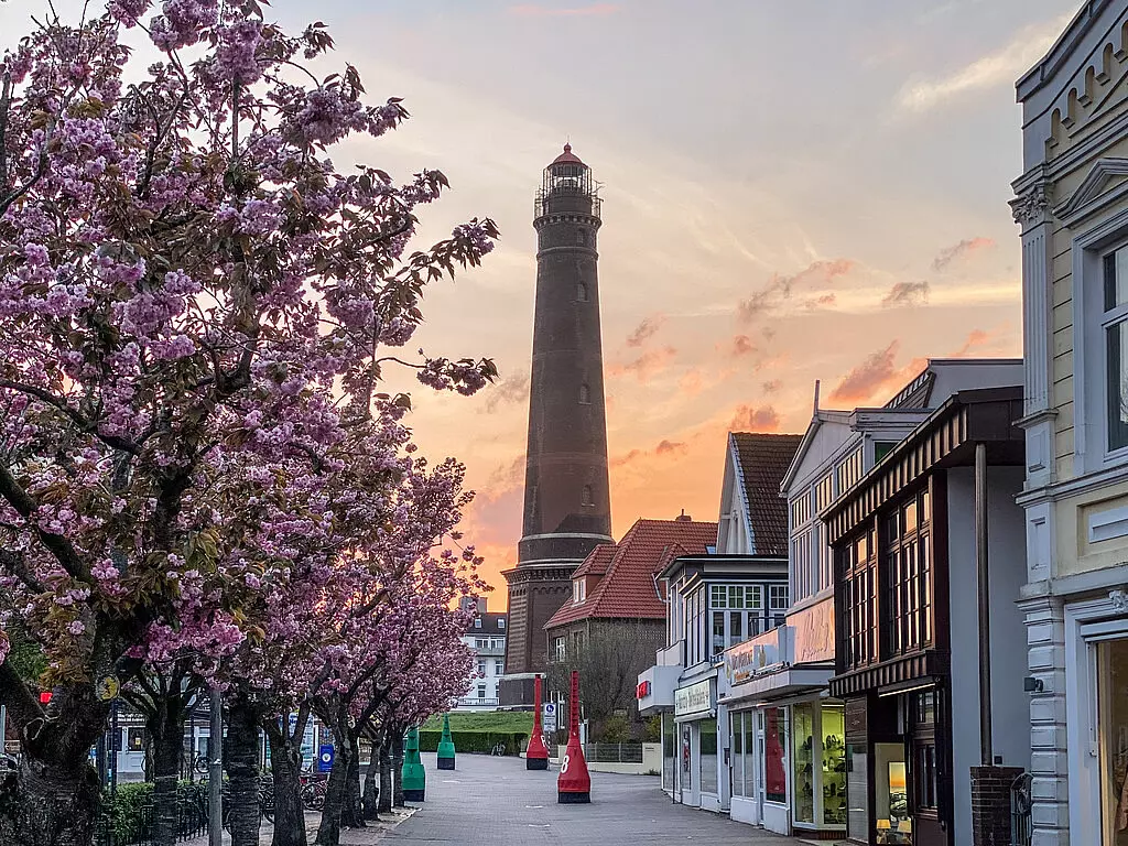 Blühende Kirschbäume säumen eine Straße mit Geschäften und im Hintergrund ragt der Leuchtturm von Borkum bei Sonnenuntergang hoch