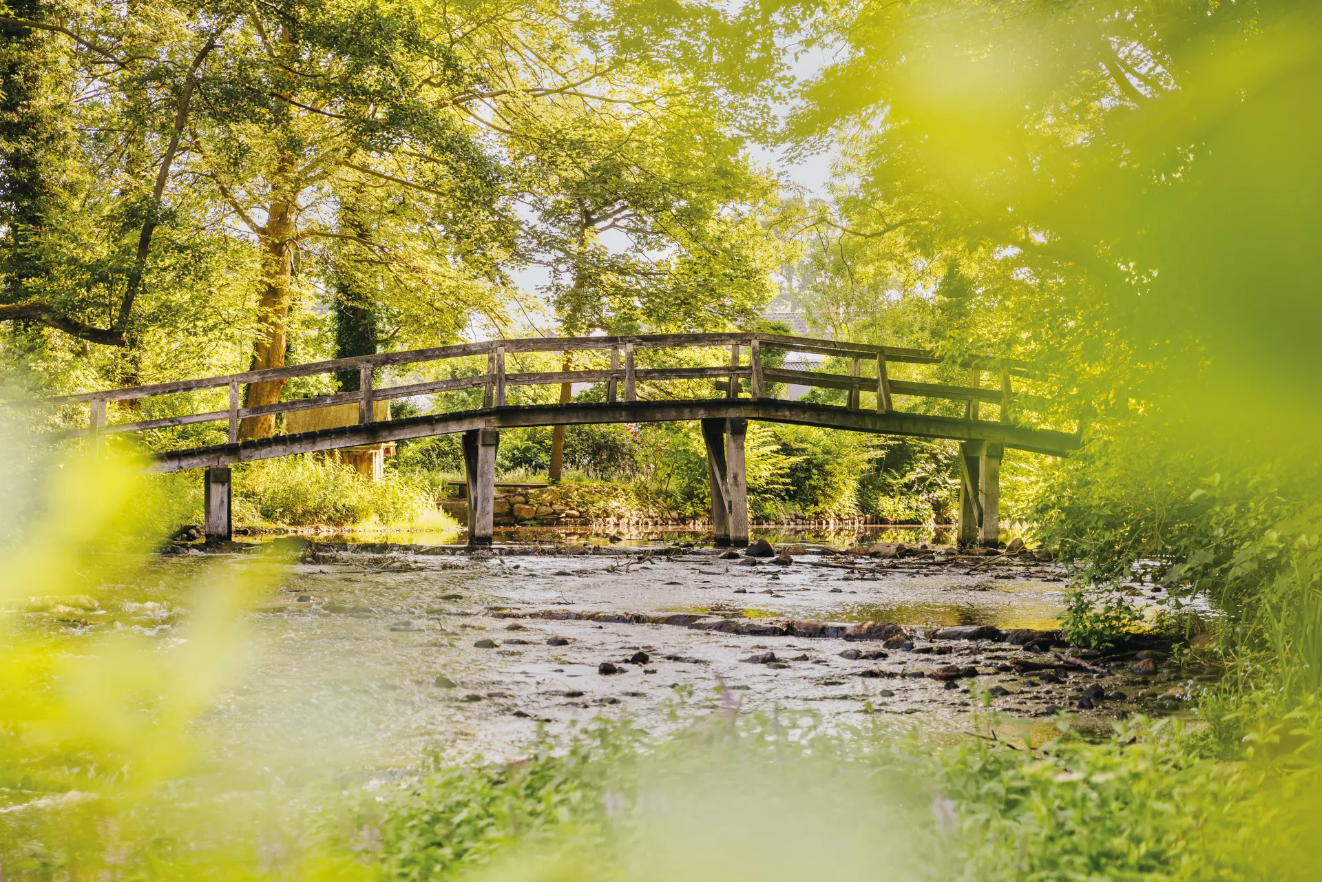 Holzbrücke über einen flachen Bach in sonniger, grüner Waldlandschaft in Worpswede