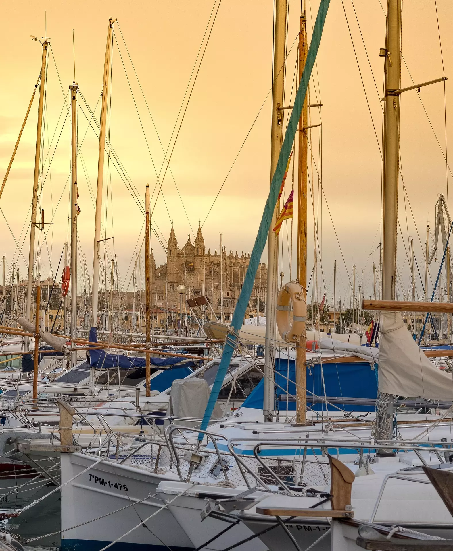 Segelboote bei Dämmerung auf Mallorca Segelboote im Hafen von Mallorca mit der Kathedrale La Seu im Hintergrund bei warmem Abendlicht