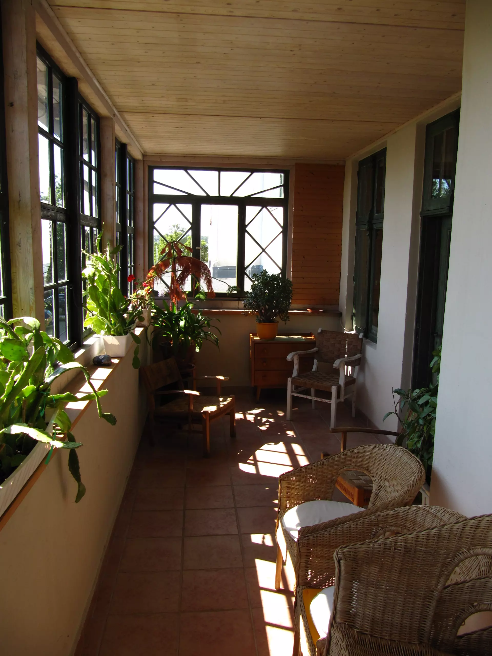 Atelier Grundvigthhaus Ruegen 2009 Sebastian(21) Überdachter, heller Wintergarten mit mehreren Stühlen, Pflanzen und großen Fenstern im Atelier Grundtvighaus auf Rügen