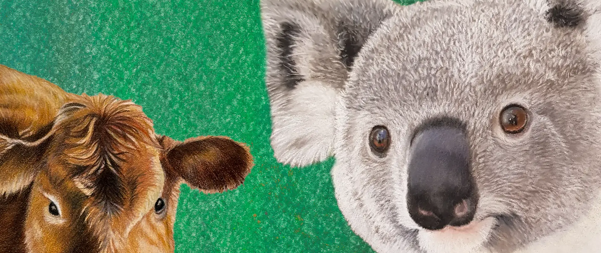 Kuh- und Koalaporträts mit realistischen Federstrukturen und weichen Farbübergängen als Beispiel für Pastellstiftzeichnung im After Work Kurs