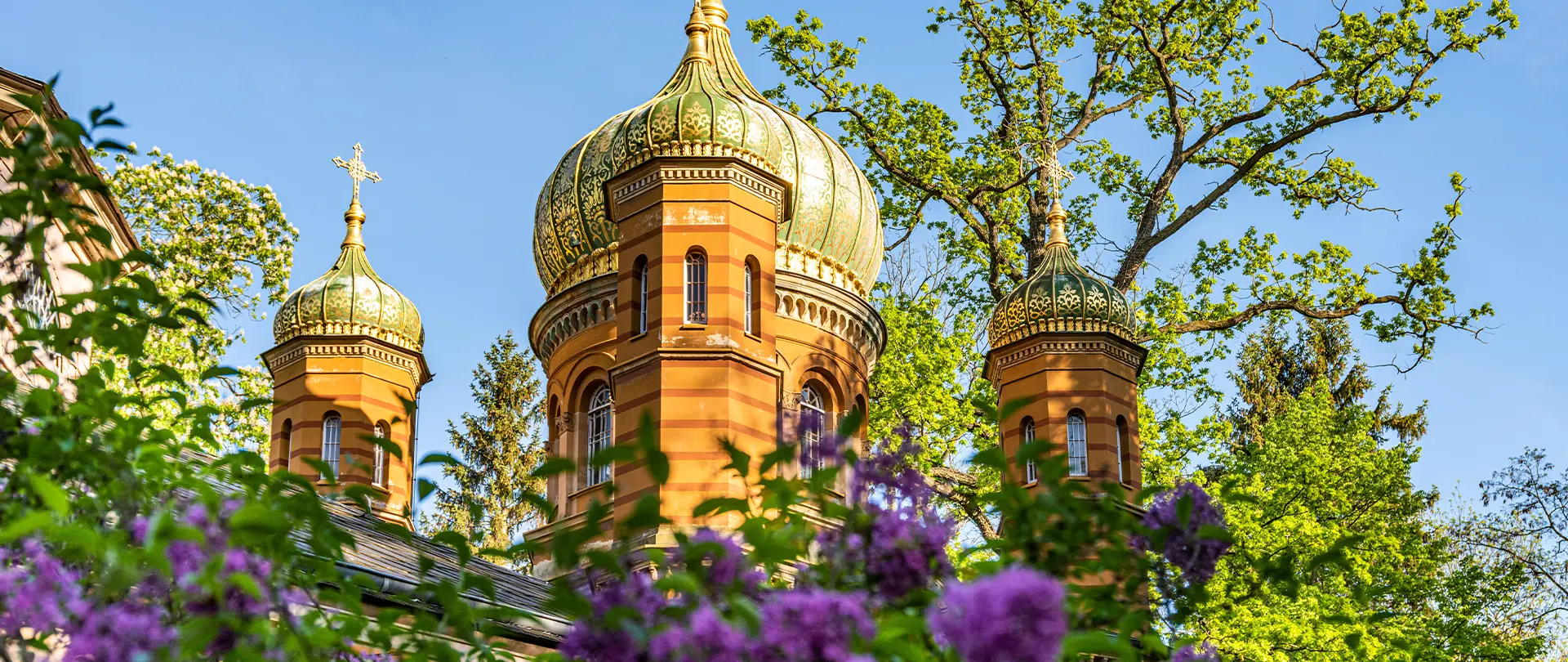 Goldene Kuppeln der russisch-orthodoxen Kirche in Weimar umgeben von grünen Bäumen und lila blühenden Pflanzen bei klarem Himmel