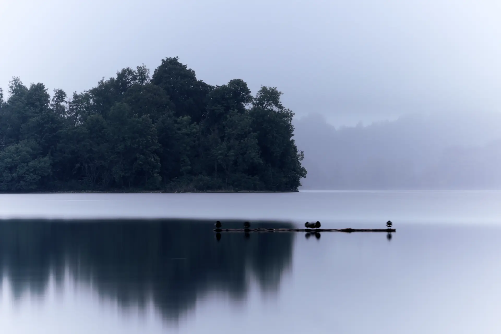 Stille Blau- und Grautöne einer nebligen Seenlandschaft mit spiegelglatter Wasseroberfläche und Bauminsel, atmosphärisch komponiert von Christian Frank