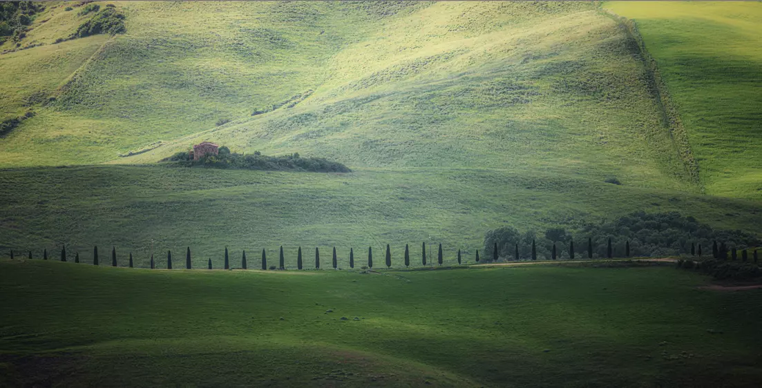 Grüne Hügellandschaft Grüne Hügellandschaft mit einer Reihe von Zypressen im Vordergrund – Landschaftsfotografie von artistravel Dozent Urs Renggli