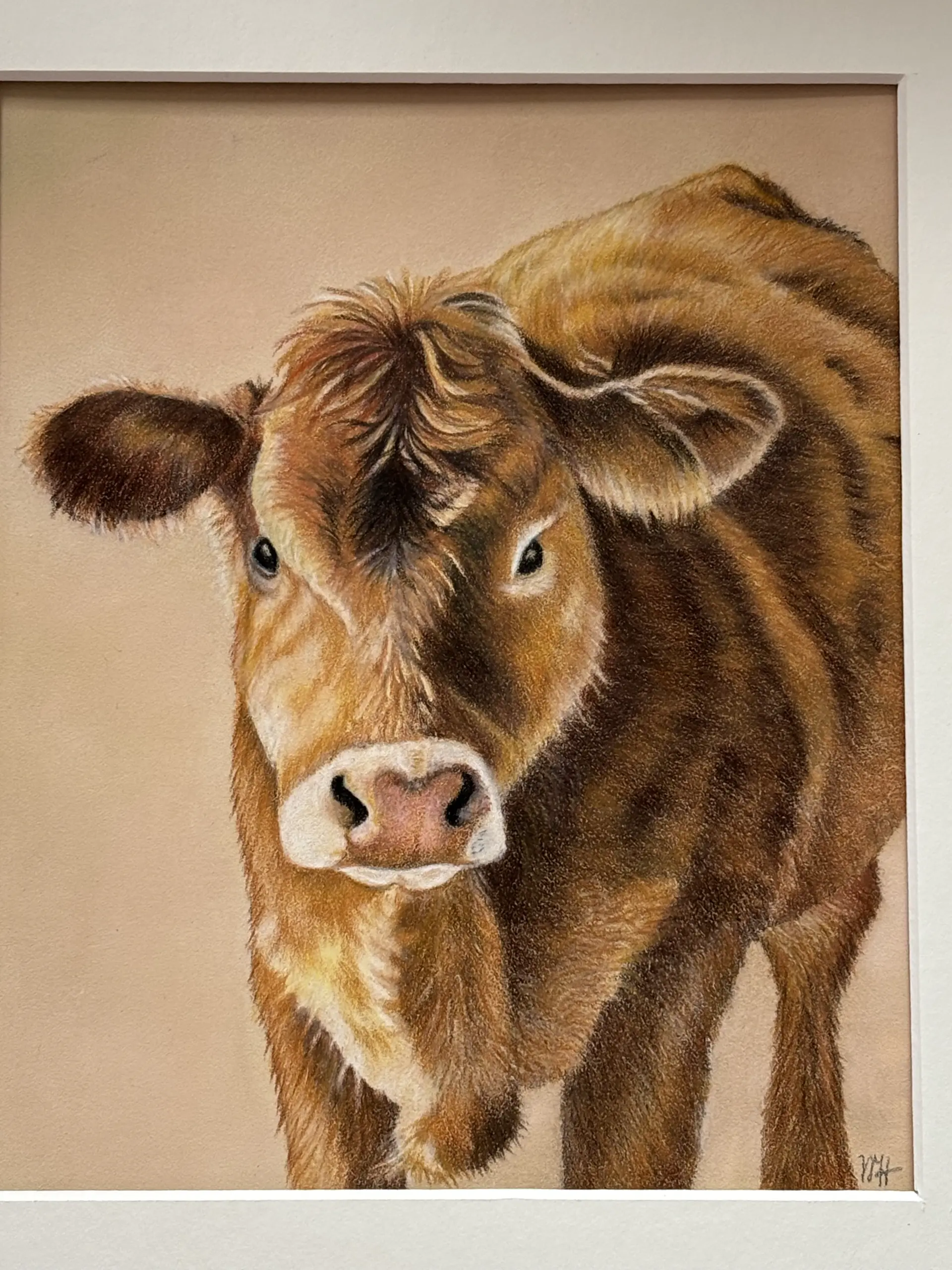 IMG 4415 Realistisch gemalte Kuh mit lebendigen Augen und detailreichem Fell in Pastellfarben von Monika Hoffmann, die die Seele des Tieres einfängt