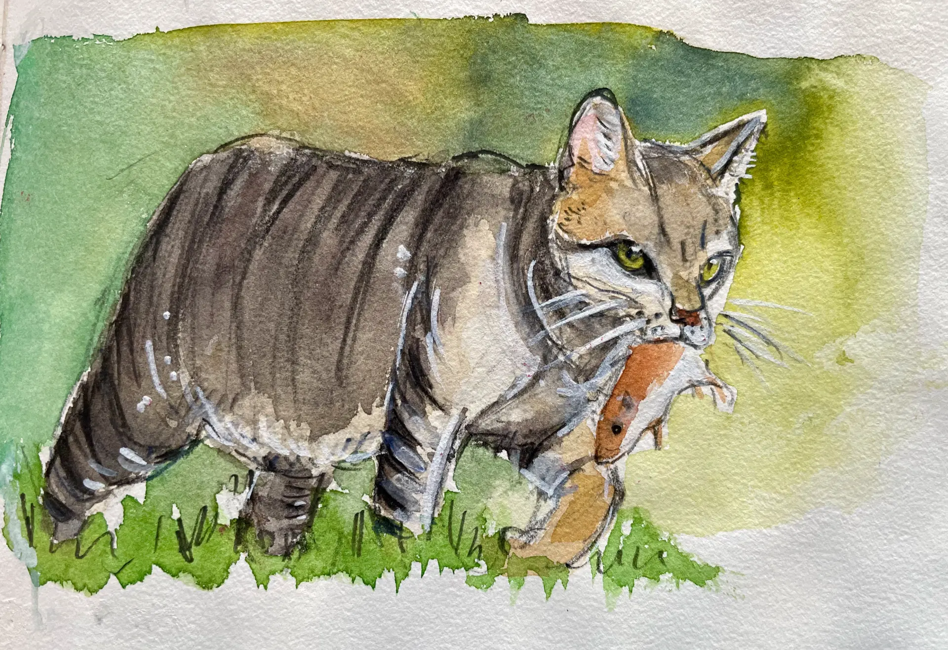 Aquarell von Annette Gevatter zeigt eine schleichende Katze mit Beute im Maul, eingefangen in natürlicher, lebendiger Malweise