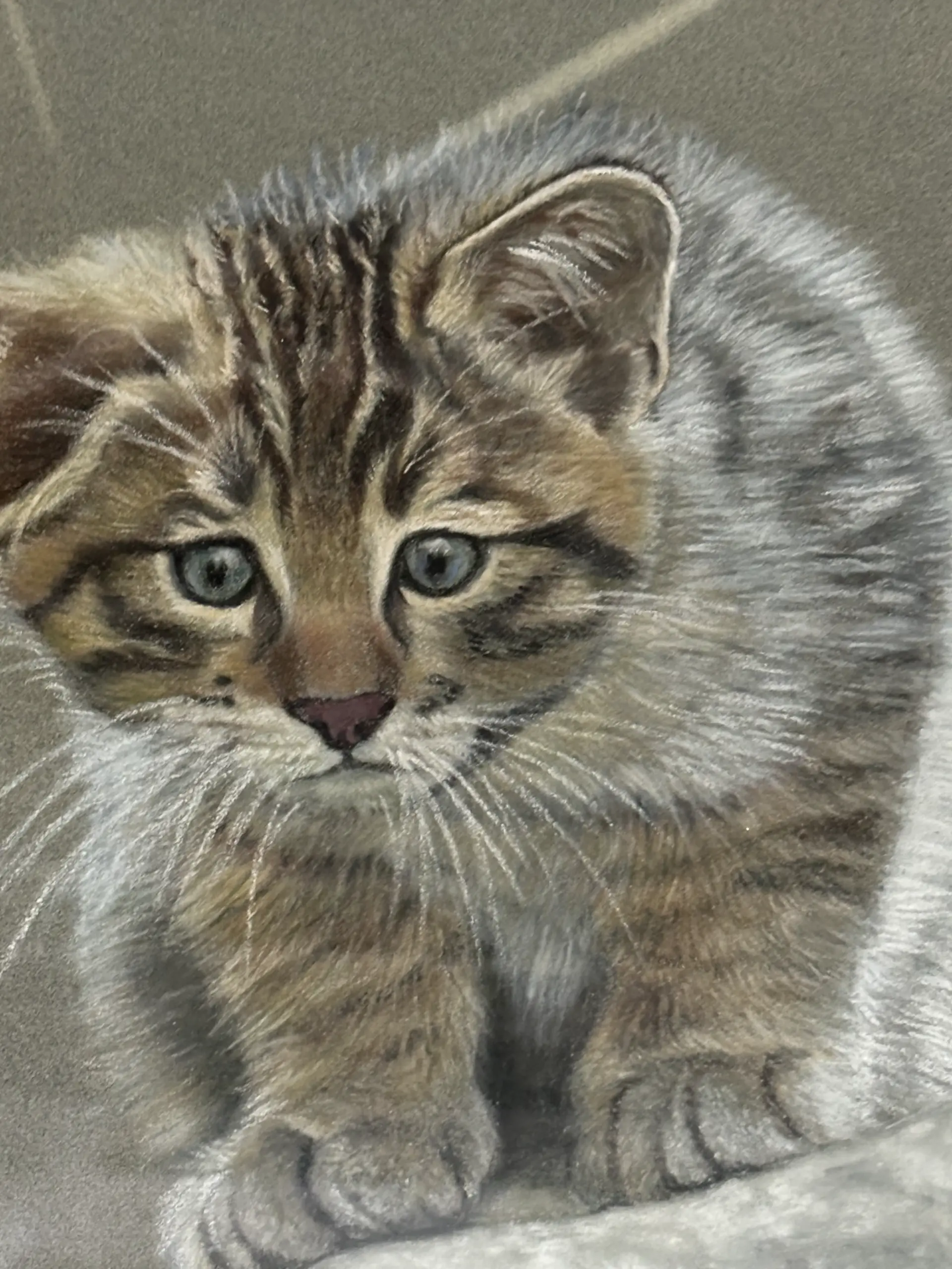 IMG 4770 Nahaufnahme einer getigerten Katze mit ausdrucksstarken Augen und feinem Fell, detailreich und lebendig in Pastellkreide von Monika Hoffmann gestaltet