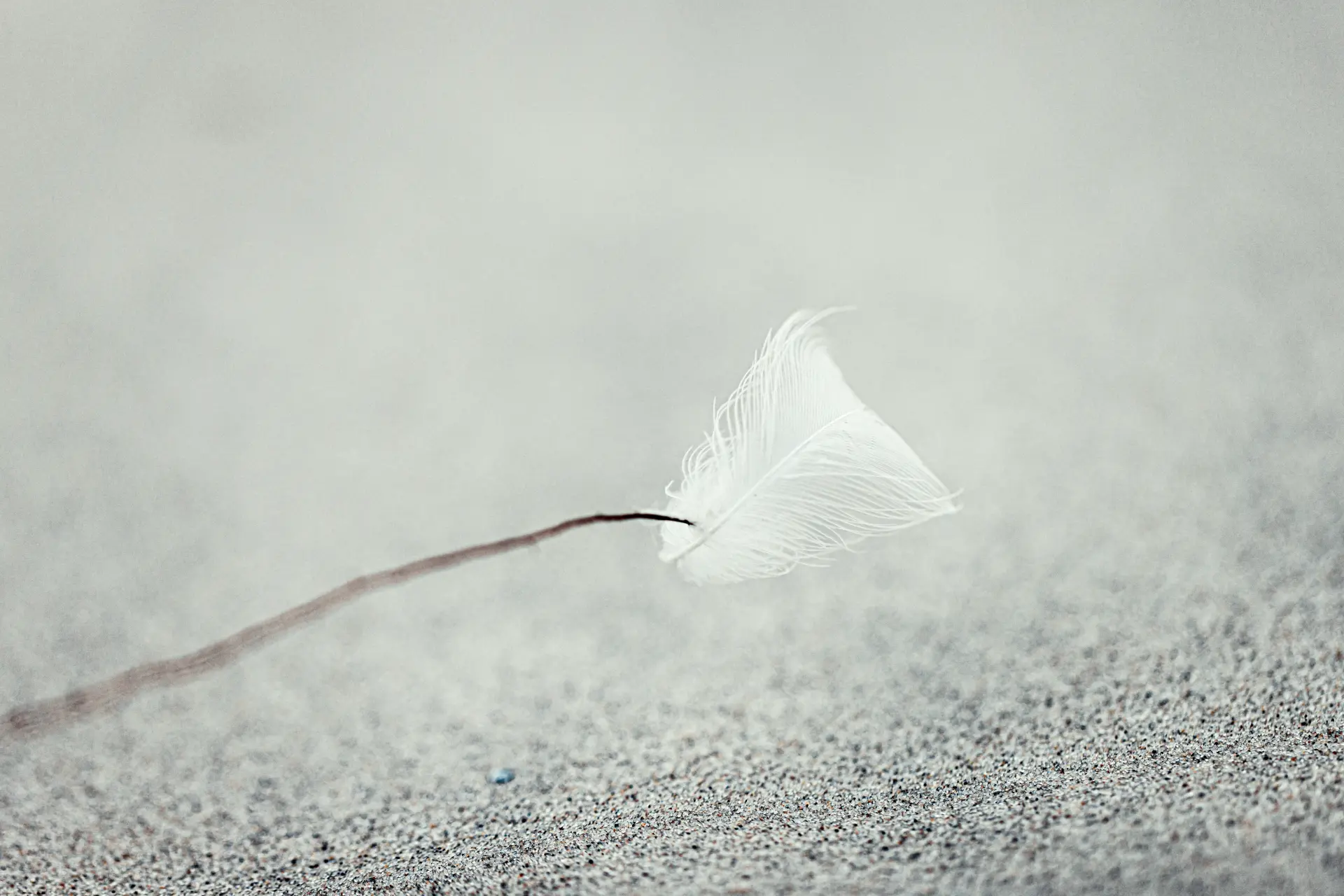 Minimalistische Makroaufnahme einer weißen Feder auf einem feinkörnigen Untergrund von Urs Renggli, die Ruhe und meditative Klarheit in der Natur vermittelt