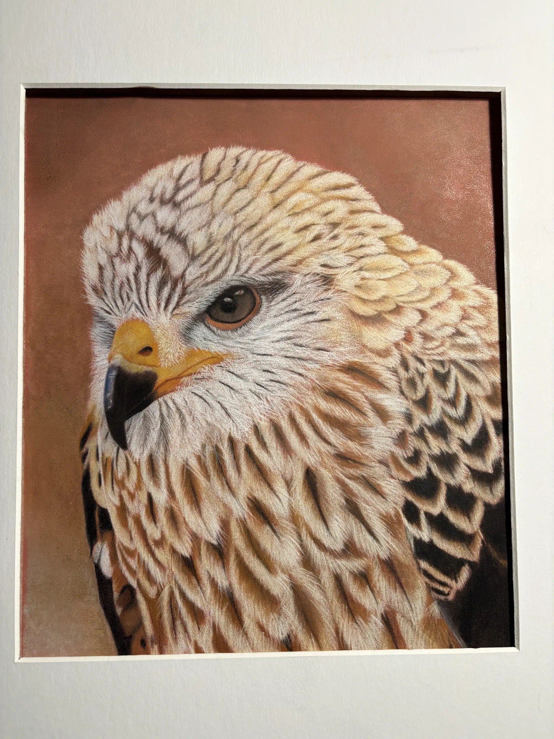 Monika Hoffmanns realistische Pastellkreide-Zeichnung zeigt einen Adlerkopf mit detailreichen Federn und ausdrucksstarken Augen voller Leben und Persönlichkeit