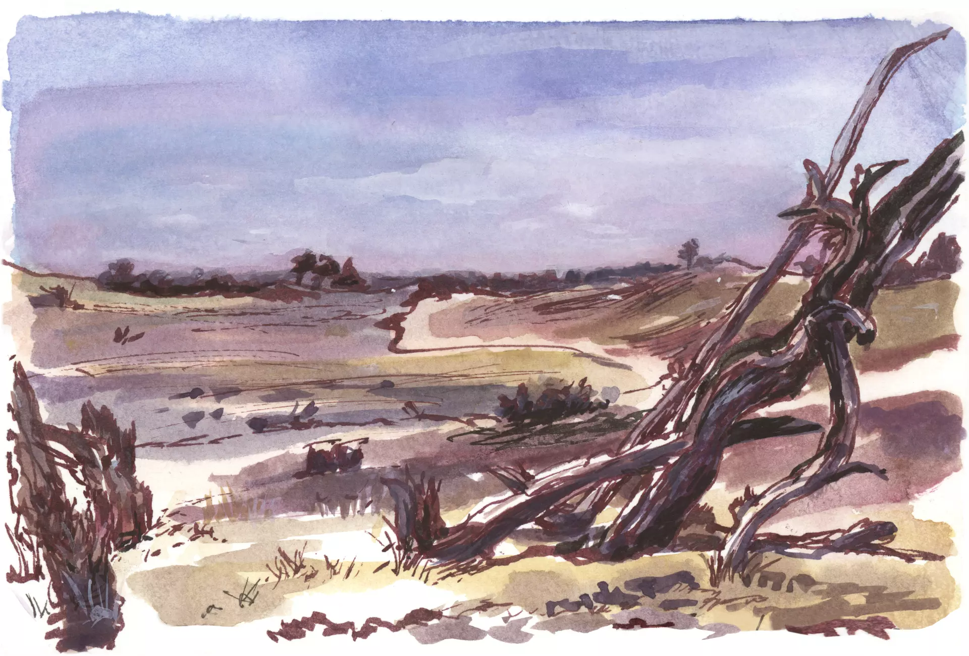artistravel Malerei Dozentin Katja Rosenberg Dünenlandschaft Sketching Zeichnung einer Landschaft mit kahlen Bäumen am Flussufer, erstellt von Katja Rosenberg - Dozentin bei artistravel