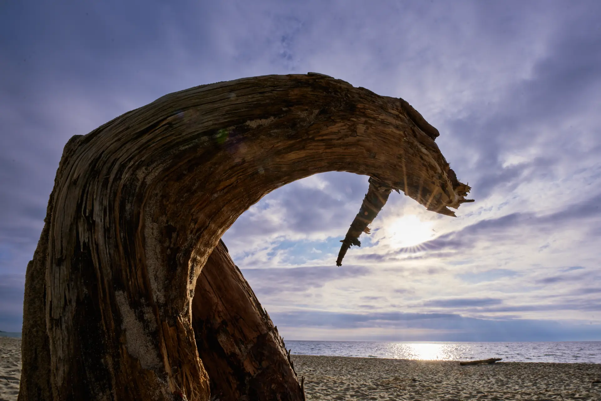 Verwitterter Baumstamm am Strand vor sonnendurchbrochenem Himmel, eingefangen von Christian Frank mit klarer Linienführung und stimmungsvoller Perspektive