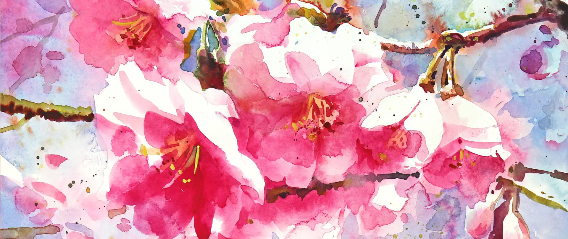 Aquarell Malerei von Kirschblüten Frühling locker in Aquarell, erstellt von Anita Ulrich - Dozentin bei artistravel