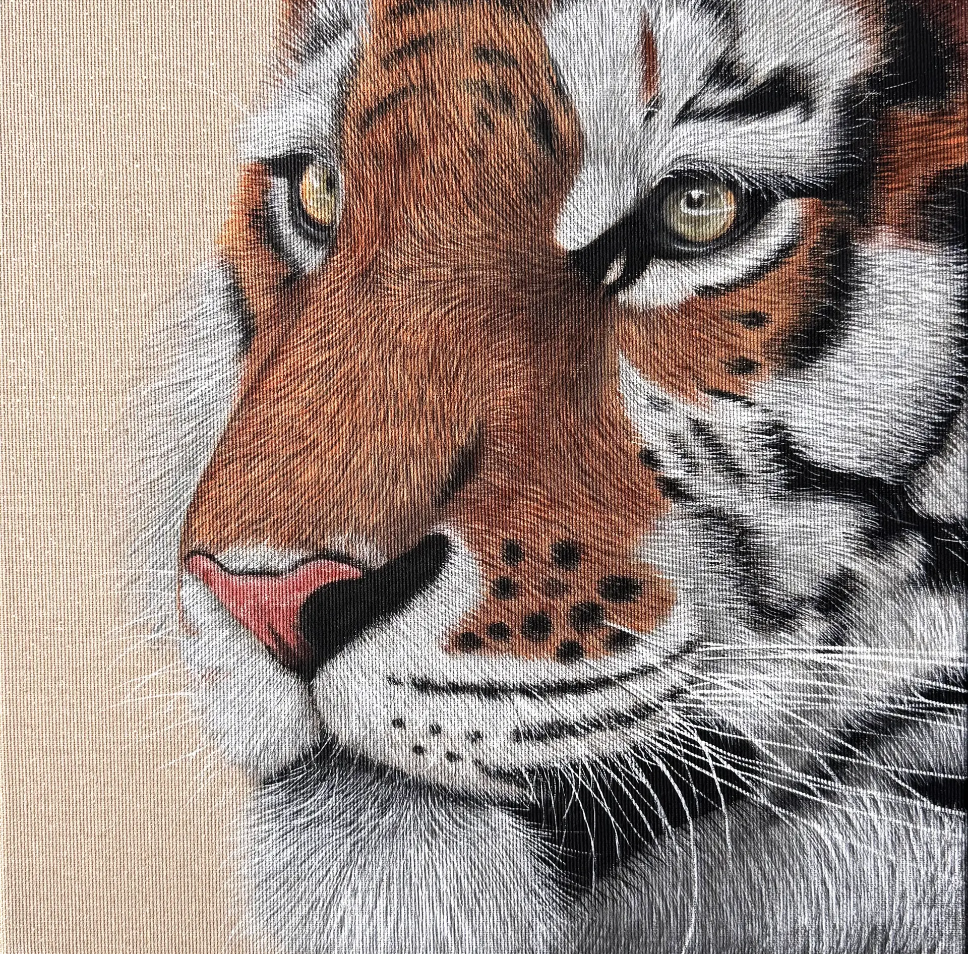 Tiger Nahaufnahme eines realistisch gemalten Tigerporträts mit intensiven Augen auf strukturierter Leinwand von Kelly Hümbert-Knobe, das Charakter und Tiefe verbindet