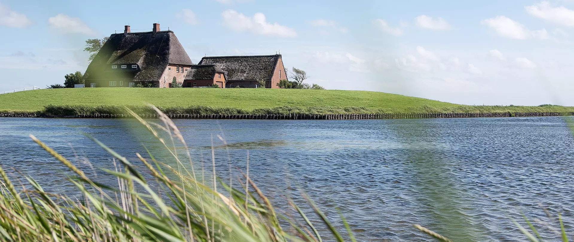 Altes Bauernhaus auf einer grünen Insel, umgeben von Wasser unter blauem Himmel Fotografie, fotografiert von artistravel Dozent Ralf Niemzig