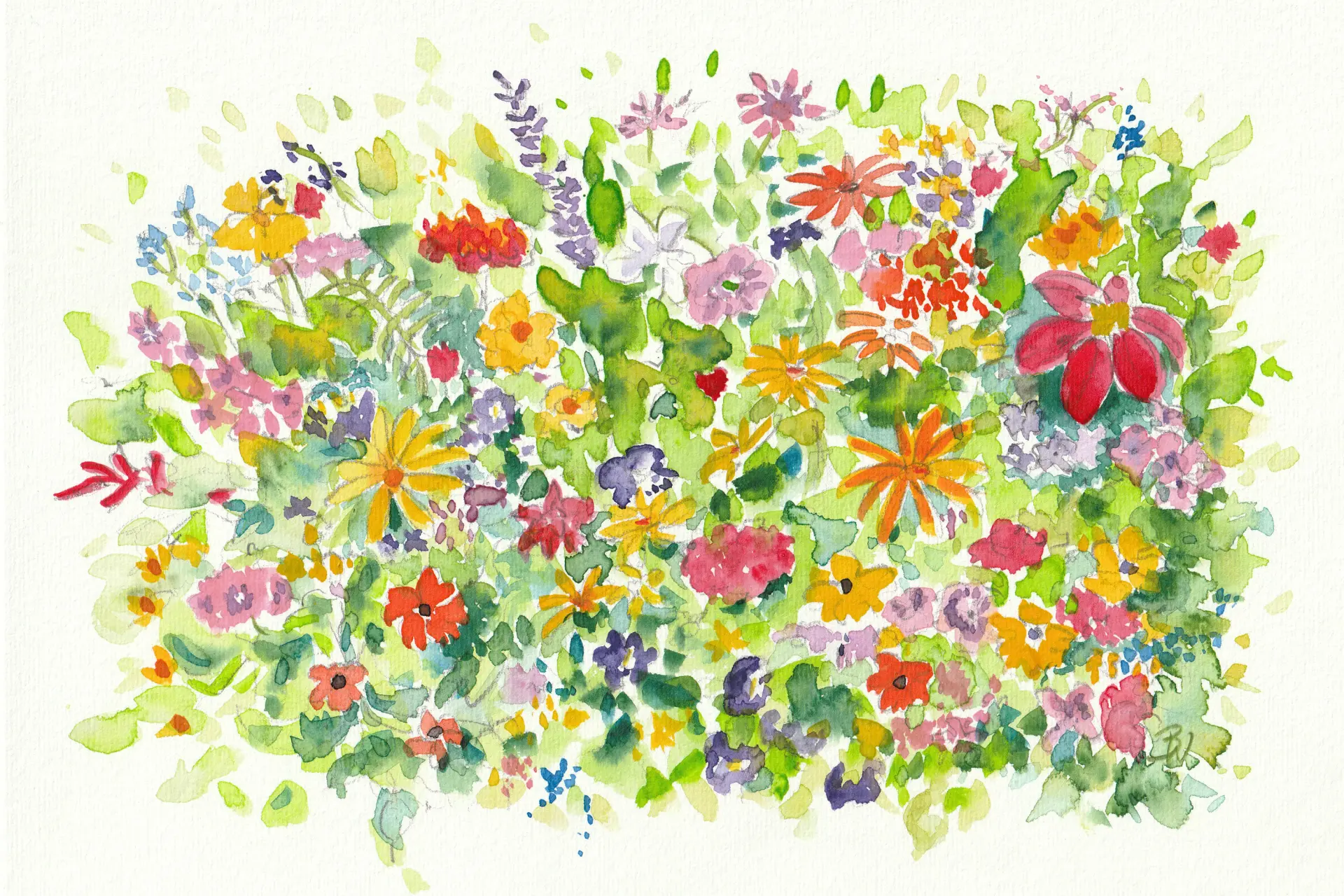 Blumen Urban Sketching Farbenfrohe und stimmungsvolle Aquarellillustration eines wilden Blumenbeets von Bettina Weisl mit vielfältigen Blüten und lockerem Zeichenstil