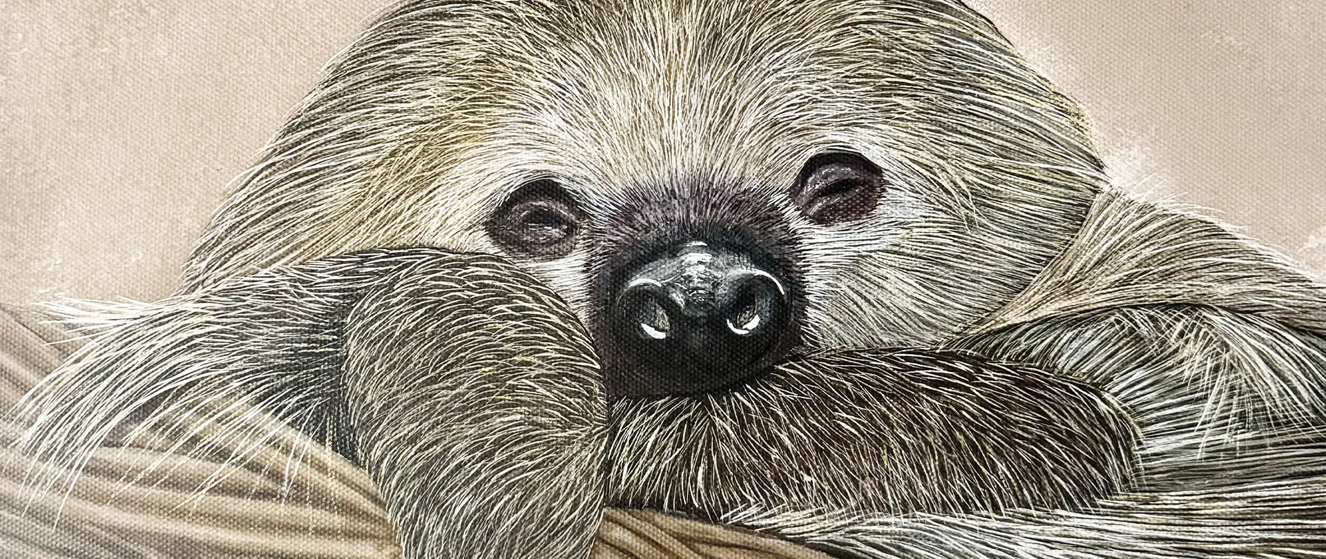 Kelly Hümbert-Knobe Detailreiche, realistische Darstellung eines ruhenden Faultiers mit charaktervollem Ausdruck von Kelly Hümbert-Knobe, kombiniert mit strukturreichem Hintergrund