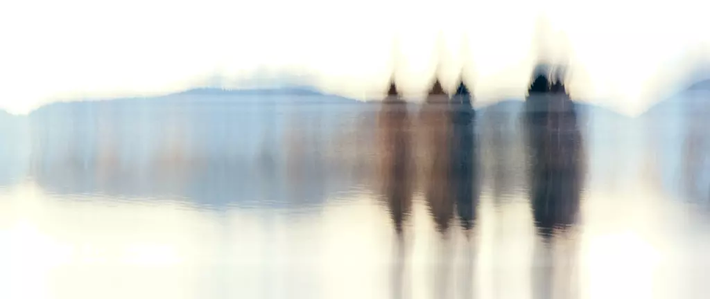 Silhouetten am See in einer nebeligen Umgebung – Abstrakte Fotografie von artistravel Dozent Jürgen Wassmuth