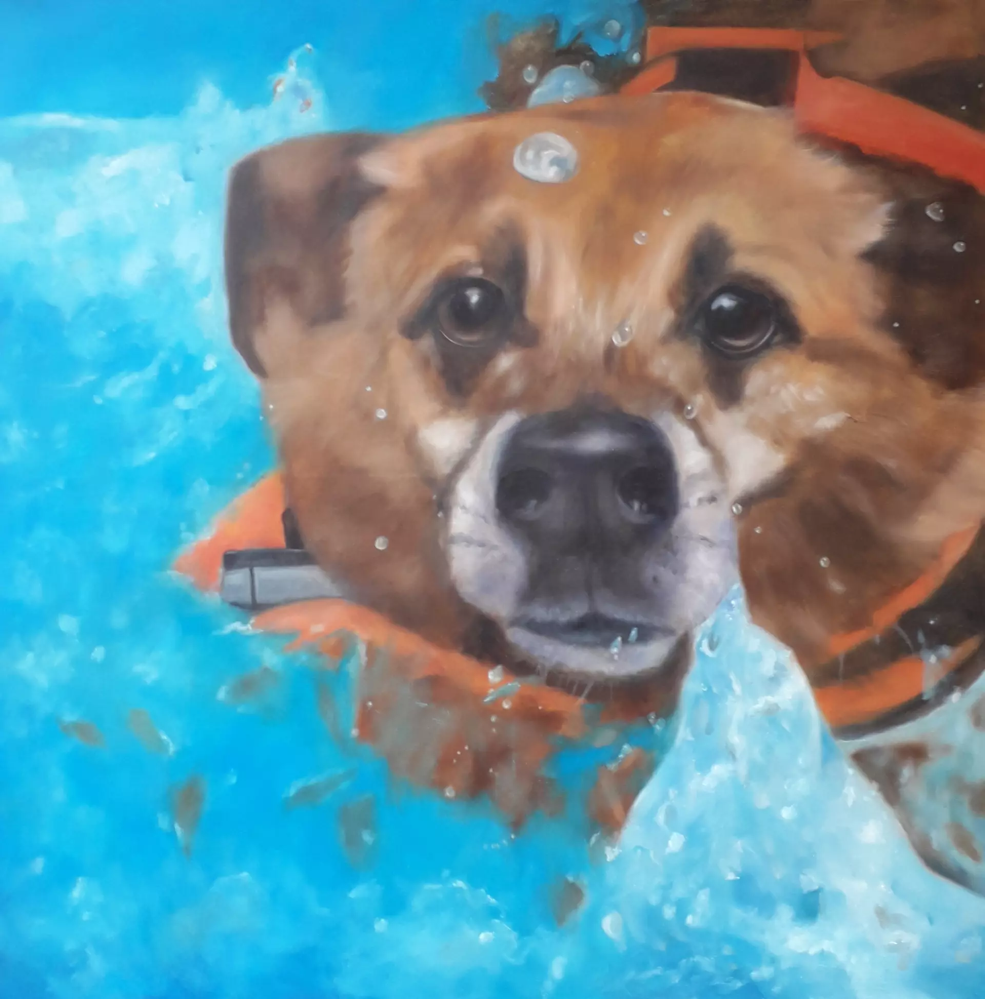 Hund in Acryl Hund mit intensivem Blick schwimmt in lebendigem Blau, eingefangen in der expressiven und poetischen Malweise von Anke Dinkelbach
