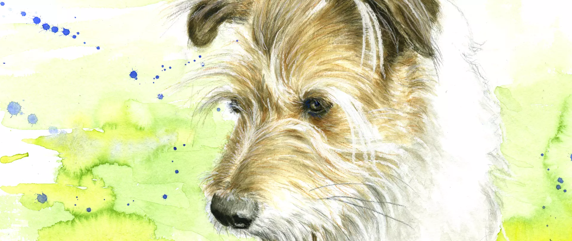 Aquarell Sketch eines Hundekopfes, erstellt von Markus Giersch – Dozent bei artistravel