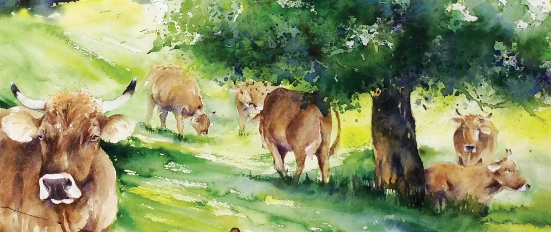 Natürliche Farben in Aquarell, ruhige Weideszene mit Kühen unter Bäumen, erstellt von Sabine Ziegler – Dozentin bei artistravel