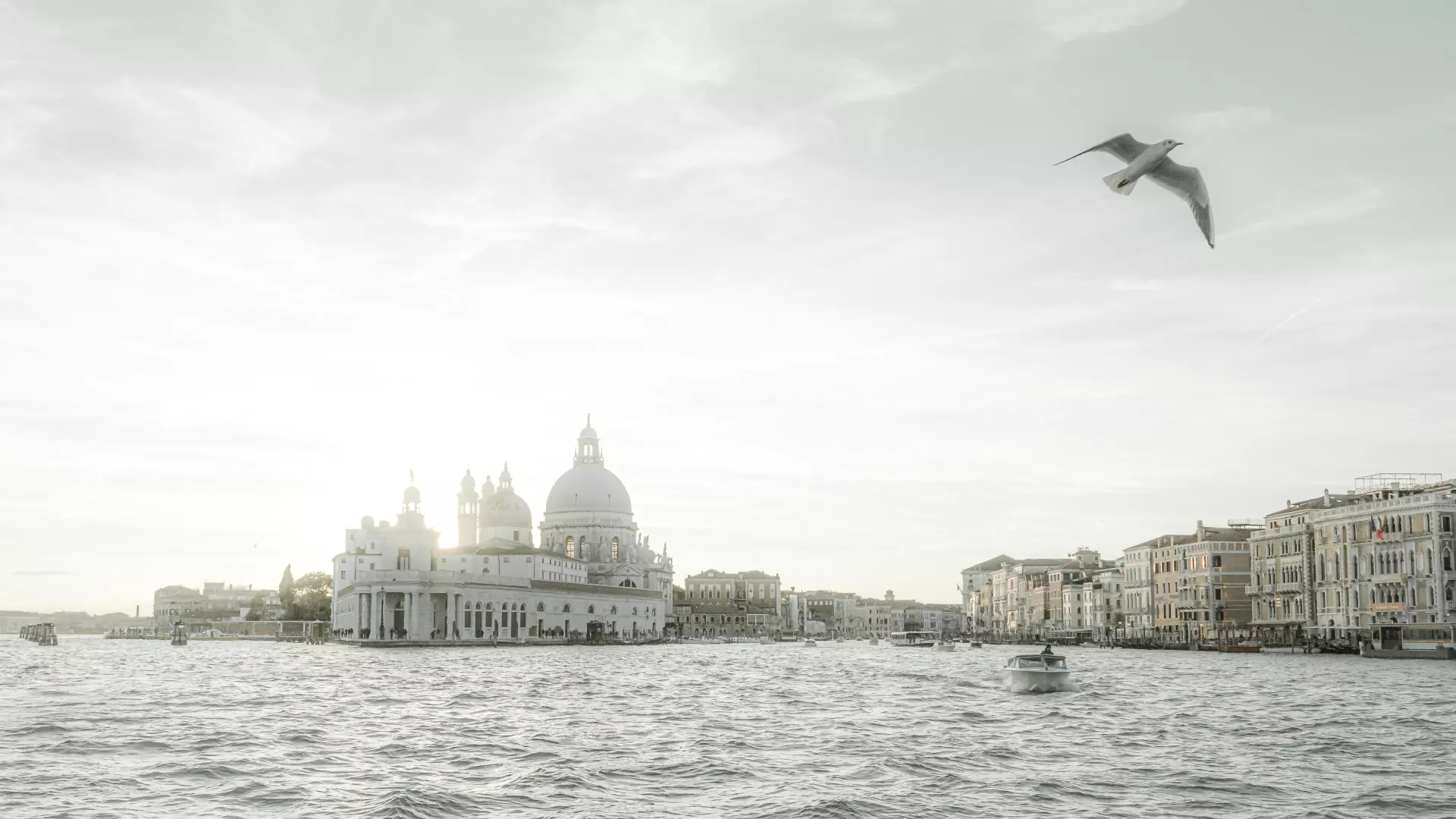 Venedig im Gegenlicht Venedigs Basilika Santa Maria della Salute im Gegenlicht – ruhige Wasserlandschaft mit Möwe im Flug von artistravel Dozent Urs Renggli
