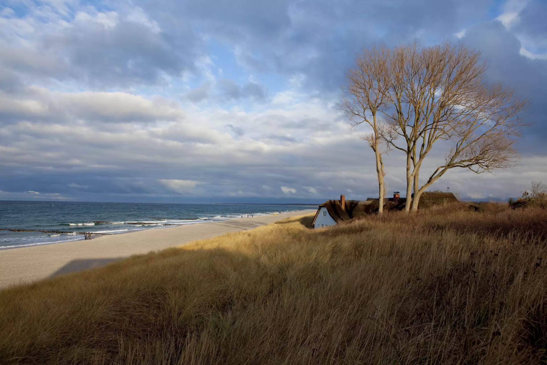 Baum am Strand Einsamer Baum am Strand mit düsterem Himmel – Landschaftsfotografie von artistravel Dozent Uwe Schmid