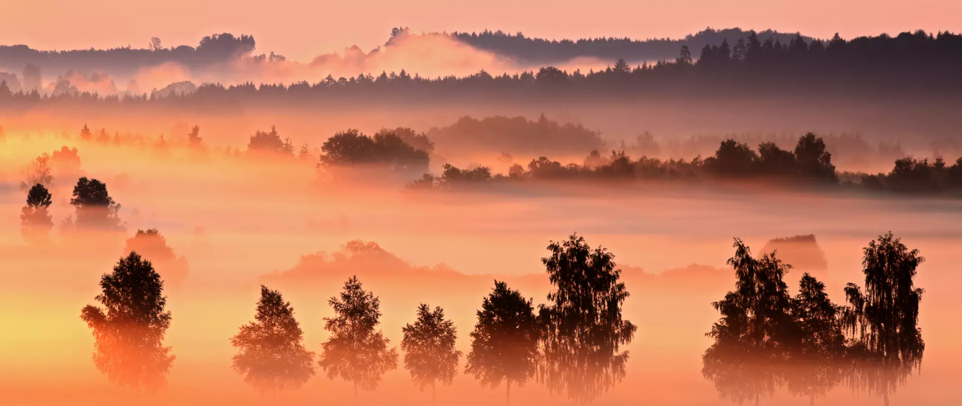 Baumreihe vor Berglandschaft im Sonnenaufgang - Landschaftsfotografie von artistravel Dozent Wolfgang Veeser