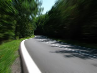 Fotografie einer Straße, die durch ein Waldgebiet führt.