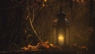 Creative Writing - Kreatives Schreiben; Fantasy Writing. Foto: Marko Blažević/Unsplash Eine Laterne mit einer brennenden Kerze darin steht in einem Wald