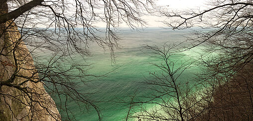 Fotoexkursion Rügen: Wald – Wasser – Küste