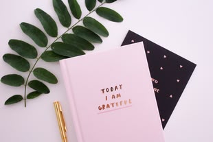 Bullet Journal - Mood Tracker / Malen und Zeichnen lernen. Foto: Gabrielle Henderson/Unsplash Ein pinkes Notizbuch liegt neben einem Ast mit grünem Blättern und einem goldenen Stift