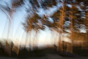 Abstrakte Naturfotografie von Jutta Engelage.