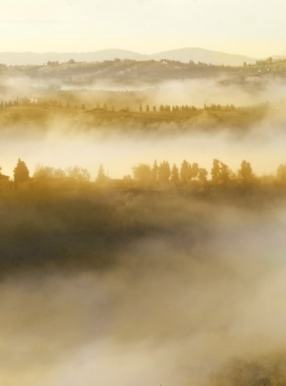 Eine nebelige Berglandschaft