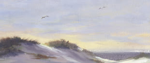Ein mit Acryl gemaltes Werk von Claus Rabba, das Dünen am Meer abbildet.