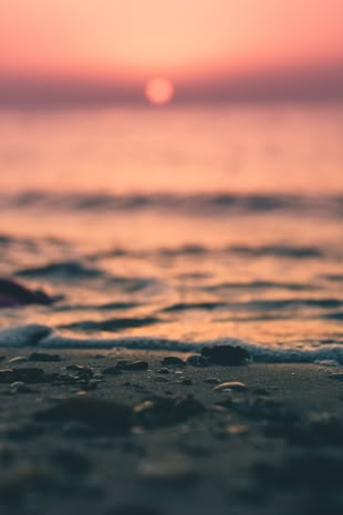 Fotografieren lernen im Fotokurs: Schärfentiefe beeinflussen. Foto: Kunj Parekh/Unsplash. Nahaufnahme von kleinen Steinen, die am Strand liegen. Im Hintergrund ist ein rosa Himmel zu erkennen.