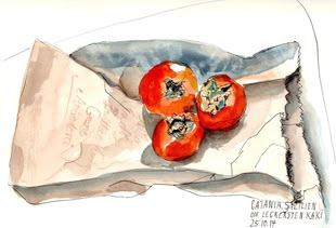 Aquarell malen, zeichnen lernen Malkurs, Werk: Alexa Dilla Aquarellmalerei von Alexa Dilla, die eine Tüte abbildet, auf der Kakis liegen.