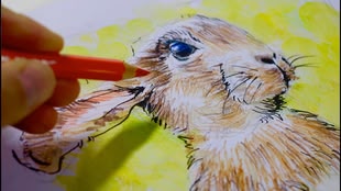 Gemaltes Bild eines Hasen.
