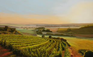 Landschaftsbild von Susanne Mull. Es zeigt viele Felder bei einer langsam sinkenden Sonne.
