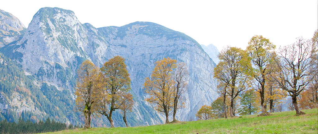Nördliche Kalkalpen - Alpenwelt im Naturpark Karwendel