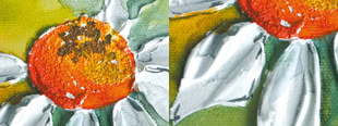 Strukturen im Aquarell, Mischtechnik, Werk: Schmincke Ein Foto von Schmincke: Dreidimensionale Strukturen auf einer Leinwand, anhand eines Acrylbildes einer Blume.