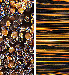 Die Fasern des COLINEO unter dem Mikroskop. Foto: Da Vinci