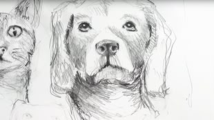 Eine Illustration eines Hundekopfes und eines Katzenkopfes von Sebastian Gothe.